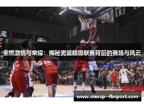 重燃激情与荣耀：揭秘男篮超级联赛背后的赛场与风云