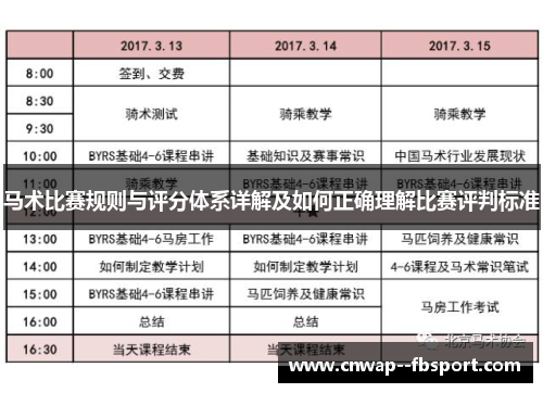 马术比赛规则与评分体系详解及如何正确理解比赛评判标准